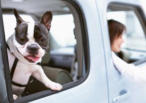 車検費用の主な内訳はどんなものなのか